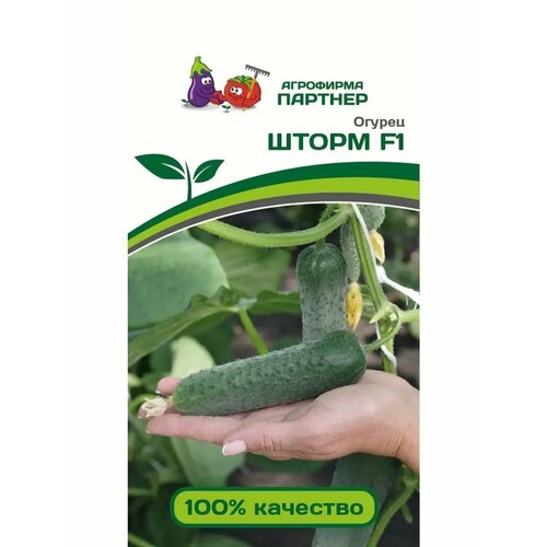 ���� ������ ������ 