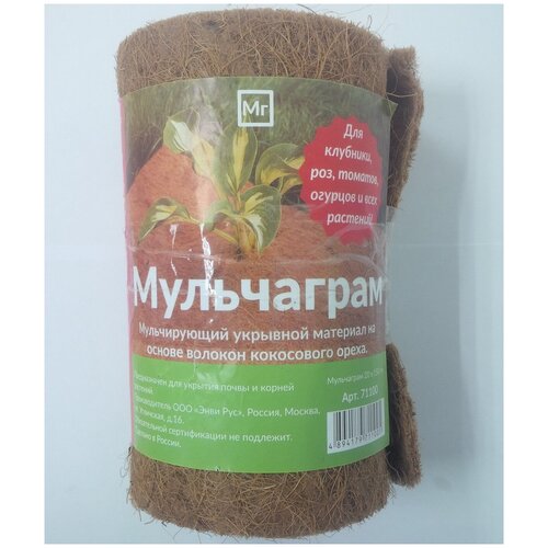 ���� ���������� 