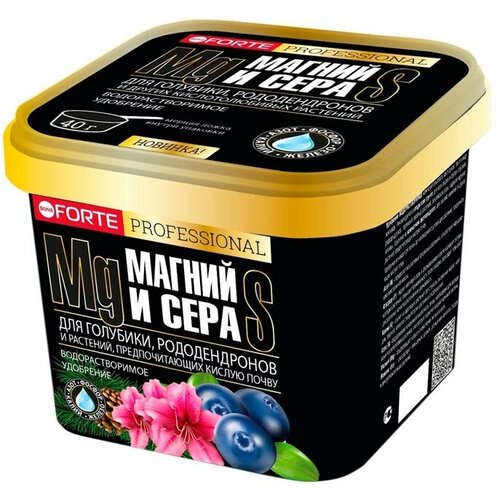   Bona Forte Professional  ,       1    -     , -, 