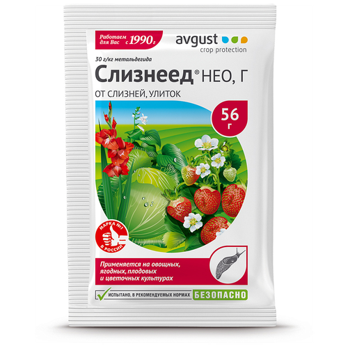 ���� Avgust �������� �� ������� � ������ �������� ���, 56 ��, 56 �, ������ �� 100 ���