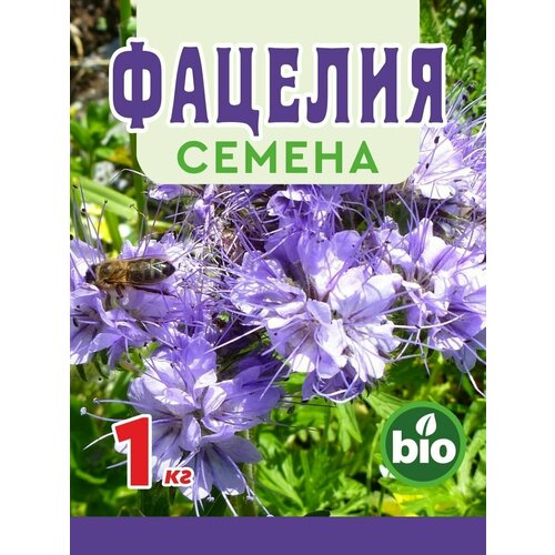 ���� ������� ������ �������� �������� ����� ������ ������ 1 ��., ������ �� 500 ���