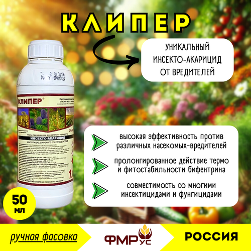  , ,  (), 50 ( ) -  ,   638 