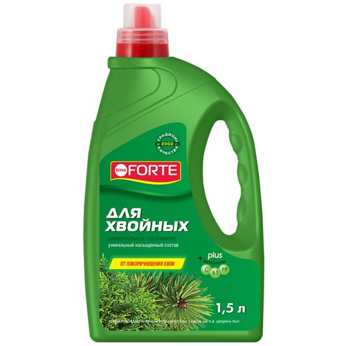 ���� ��������� BONA FORTE ��� �������, 1.5 �, 1940 �, 1 ��., ������ �� 700 ���