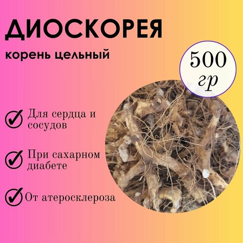 ���� ��������� 