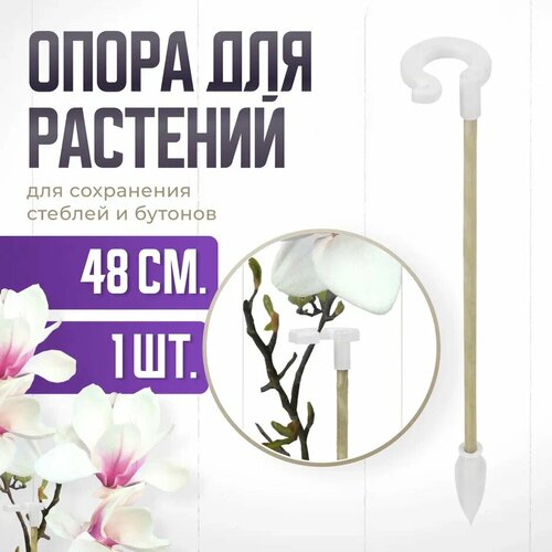 ���� ����� ��� �������� � �������, ������� ������� ��� �������, ��� ������� , ��������� ������ 48 �� 1 �����, ������ �� 181 ���