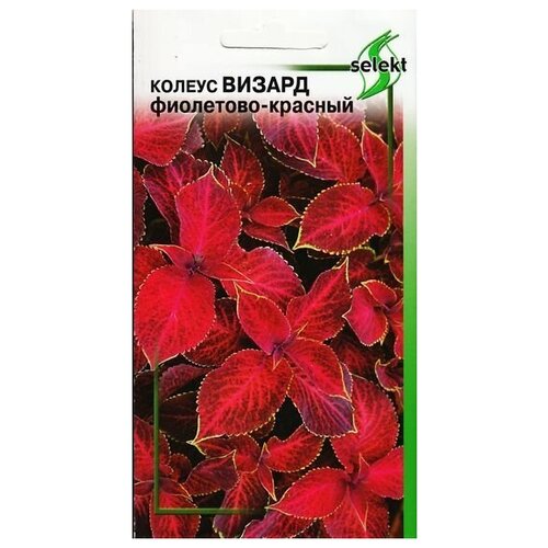 ���� ������ ������, ���������-�������, 15 �����, ������ �� 280 ���