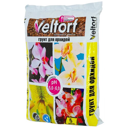 ���� ����� ��� ������� 5 �, ������ �� 299 ���