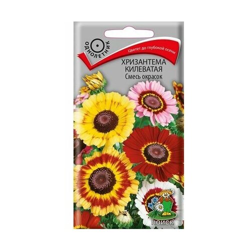 ���� ������ ���������� ��������� ����� � ������������ 0,3 ��, ������ �� 42 ���