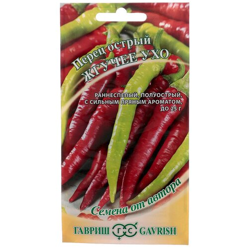 ���� ������ ����� ������ 