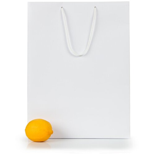 ���� 12 �������� ���������� ������� 30*40*12. �����, ������������, ������ �� 3986 ���