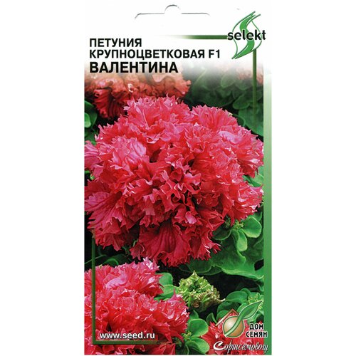 ���� ������� ��������������� �������� F1 ���������, 10 �����, ������ �� 307 ���