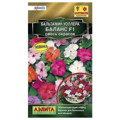 ���� ������. ��������� 