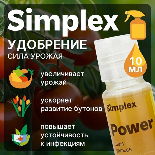   Simplex Power 10 .   -     , -, 