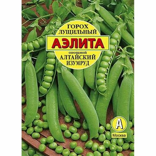 ���� ������ ����� ��������� ������� ���������, ������������, (������) �/� 25�, ������ �� 64 ���