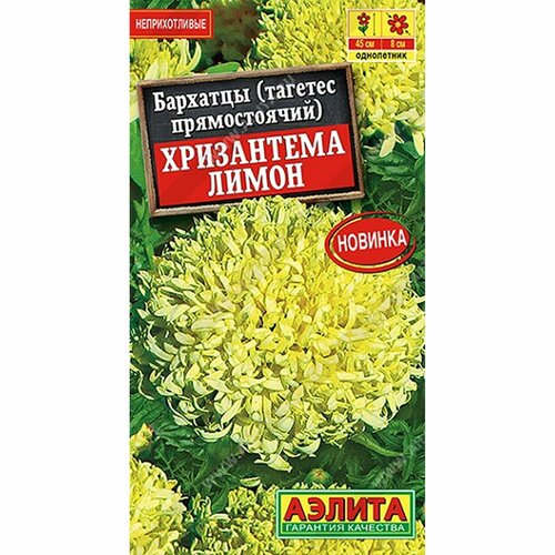 ���� ������ �������� ���������� ����� ����, ����������, (������) 0,1�, ������ �� 51 ���