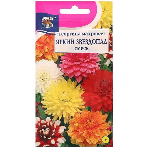 ���� ������ ������ �� �������� ����� 