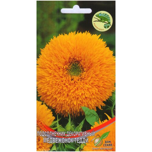 ���� ������������ ������������ ���������� �����, 13 �����, ������ �� 238 ���