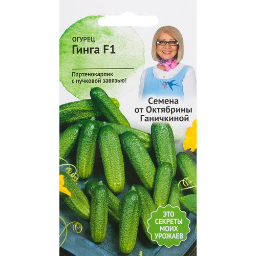 ���� ������ ������ ������ F1 10 ��., ������ �� 288 ���