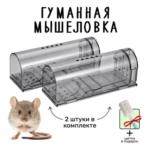   ,     , (    ),   2 , ,   1030 