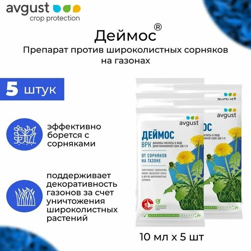 ���� �������� AVGUST 