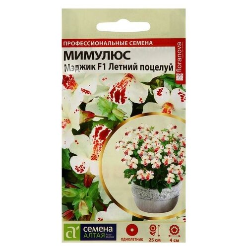 ���� ������ ������ ������� ������ 