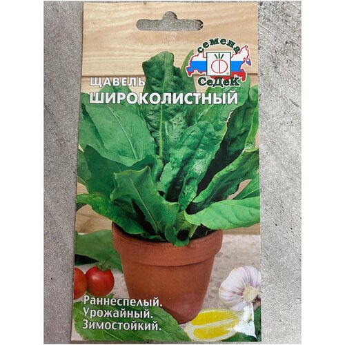 ���� ������ �������������, ������ �� 42 ���