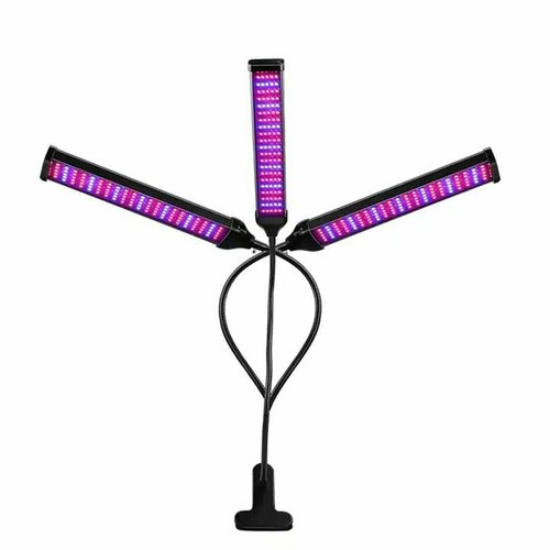    ,  , , , ,   3 ,   1100 