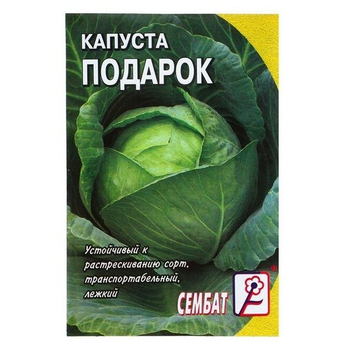 ���� ������ ������� ������������ 