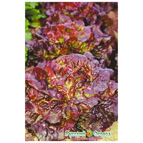 ���� ������. ����� �������� 