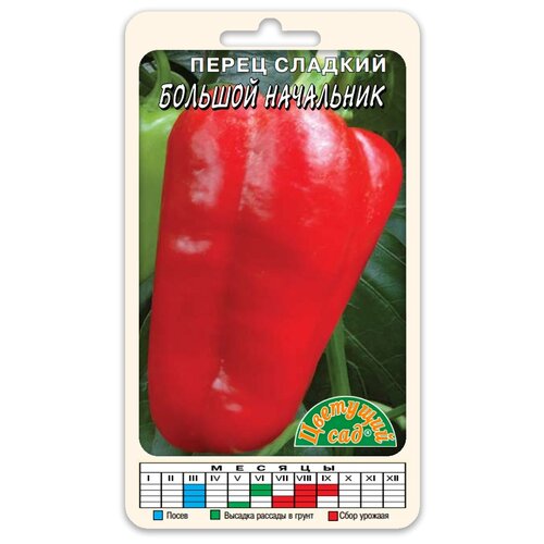 ���� ������ �������� ��� 