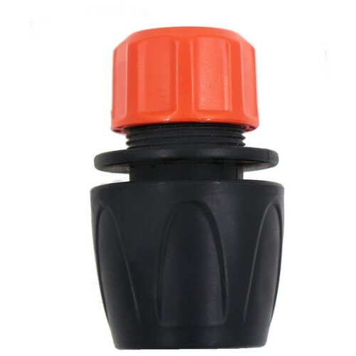 ���� ��������� 