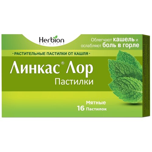 ���� ������ ��� ��������, 16 ��., ������, ������ �� 196 ���