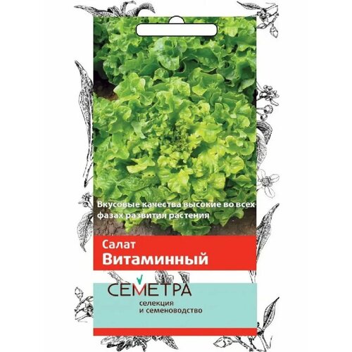 ���� ����� 