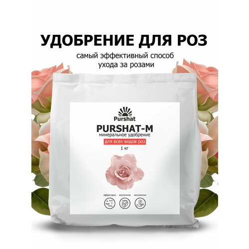 ���� ��������� ������ ��� ��� � ������ 1 ��, ������ �� 577 ���