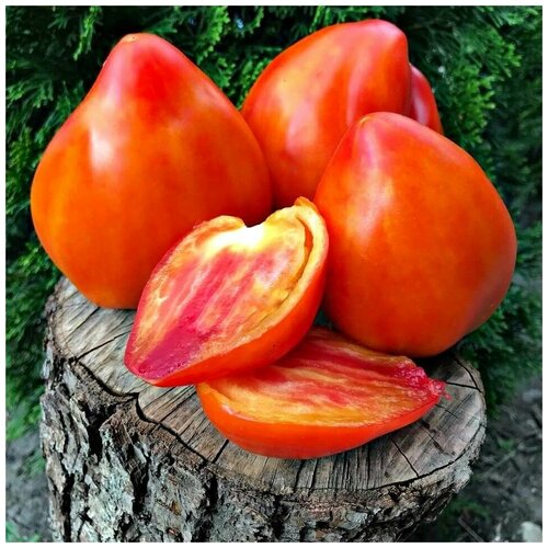 ���� ������ ������ ����� �������� ����� 10 ��., ������ �� 320 ���