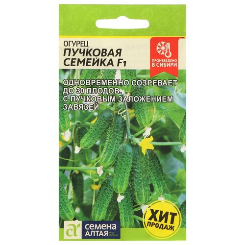 ���� ������ ������ 