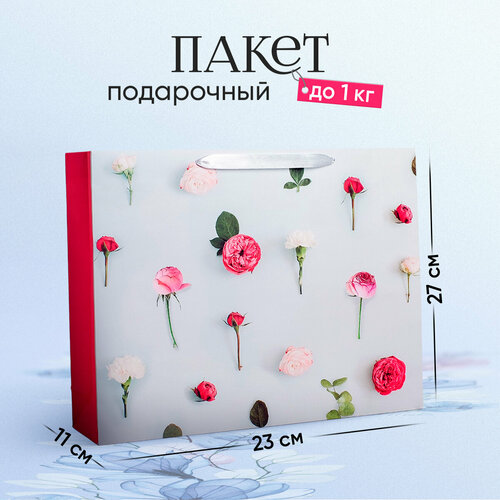 ���� ����� ���������� �������������� ��� ���������, 23 ? 27 ? 11 ��, ������ �� 177 ���