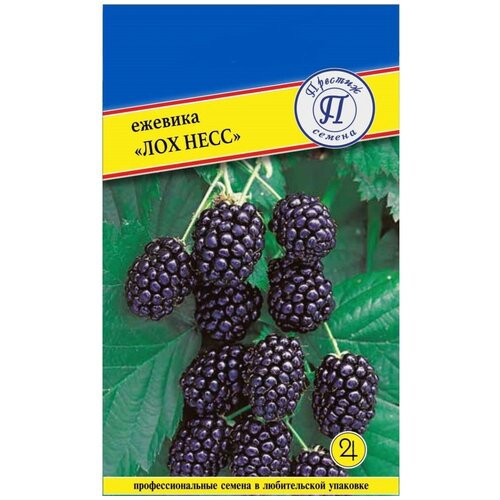 ���� ������ ������� ��� ���� (��� �����), 1 ��������, 10 �����, ������ �� 65 ���