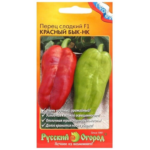 ���� ������ ����� ������� 