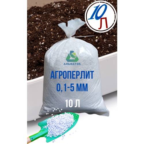 ���� ����������, 10 �, ������ �� 599 ���