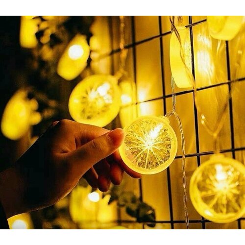 ���� �������� ������� ������, ������ �� 790 ���