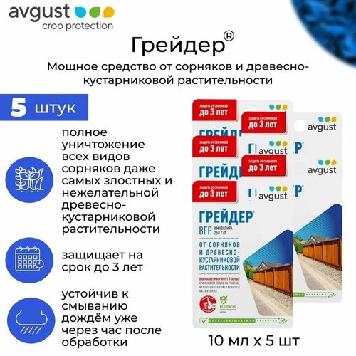 ���� �������� �� �������� ������ 