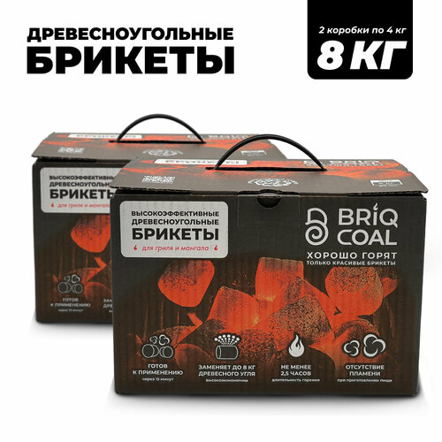 ���� 2 �������� BriqBOX �� 4 �� - ����������������� ���������������� ������� BRIQCOAL, ������ �� 1920 ���