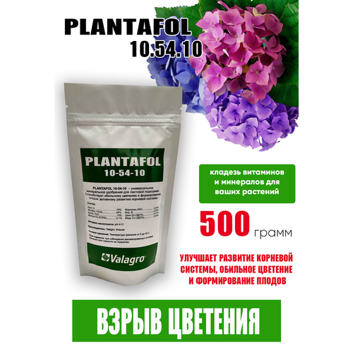 ���� ��������� ��������� 10.54.10, 500 ��, ������ �� 890 ���