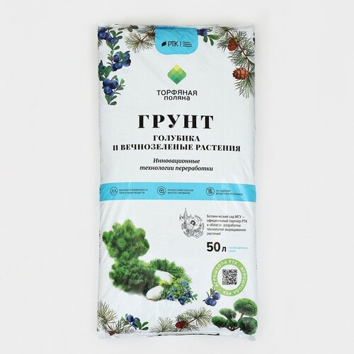 ���� �������� ������ ����� ��� ��������, �������, ������ 