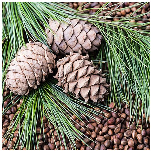    , , 20 , ,  ,  ,   383 