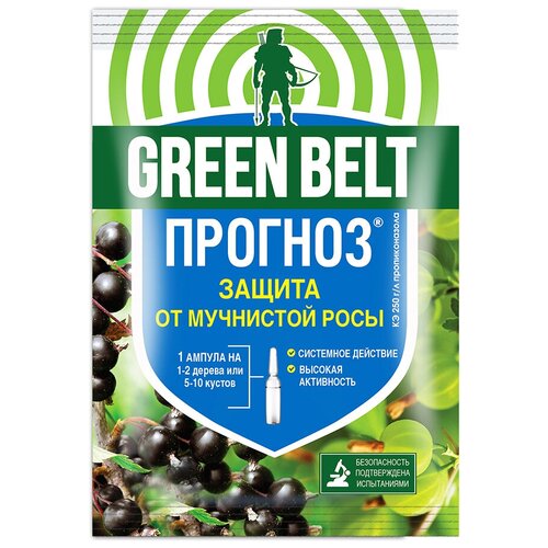       GREEN BELT  5    -     , -, 