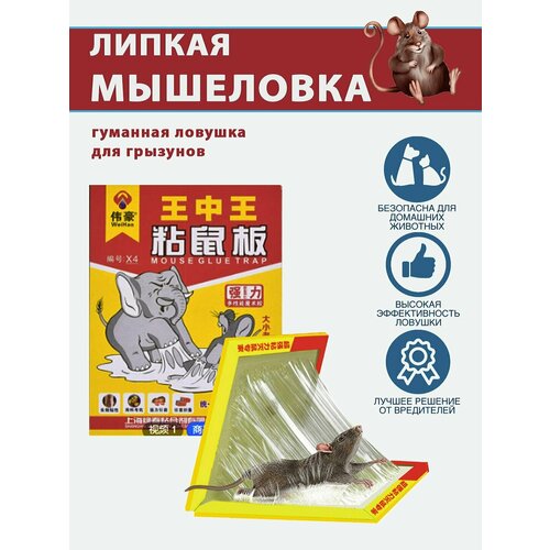 ���� ������� ��������� / Good Ideas / ������� �� ����� � ���� 1 ��., ������ �� 269 ���