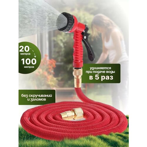 ���� ����� ������� ���������� ��������������� 100������, � ��������� � ������������, ������ �� 2682 ���