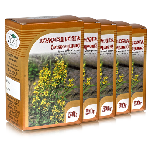 ���� ������� ����� (����������), ����� 50 ��, 5 ��, ������ �� 623 ���